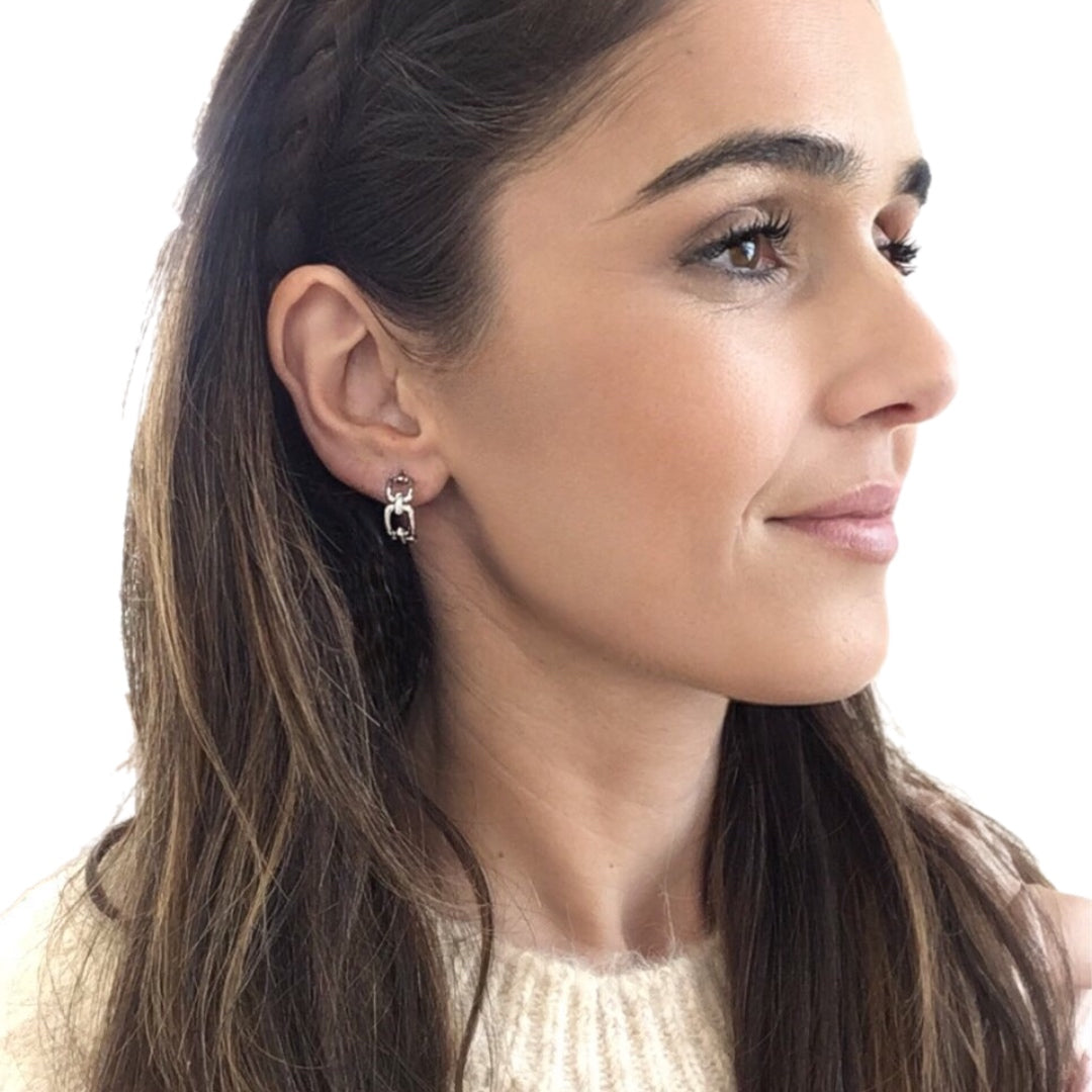 Argolas Prata EUGÉNIO CAMPOS