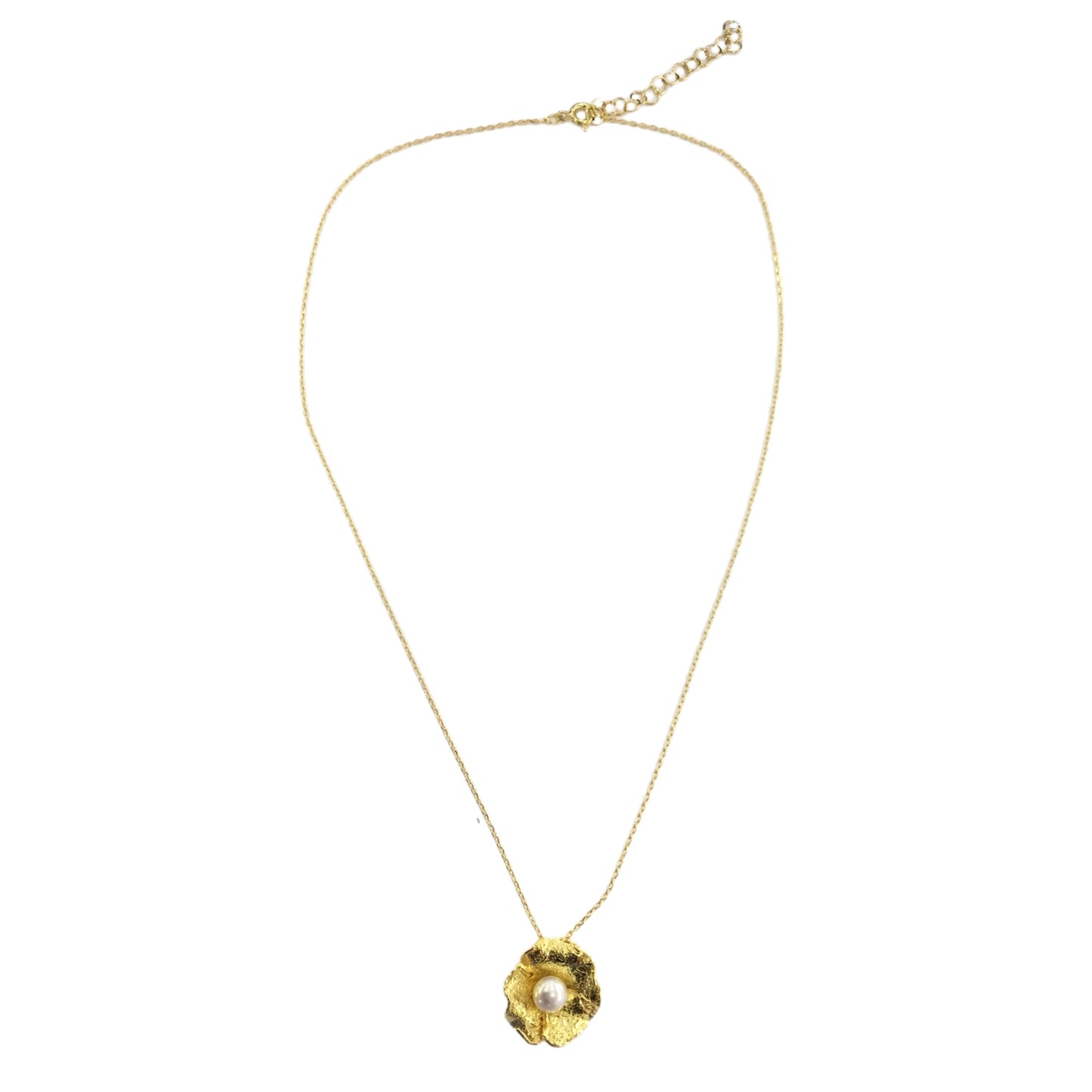 Colar Prata Dourada MACE