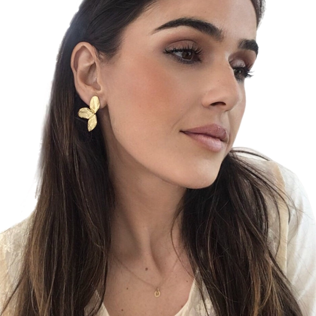 Brincos Prata Dourada MACE