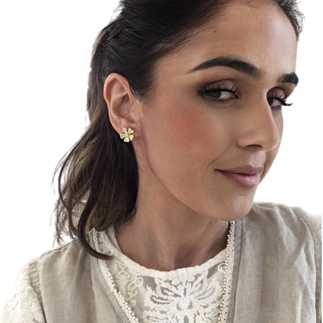 Brincos Prata Dourada MACE